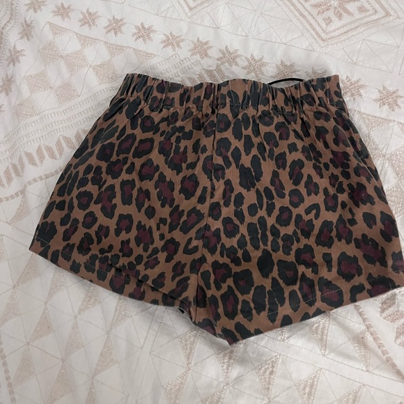 Cheetah Shorts - Picture 5 of 7